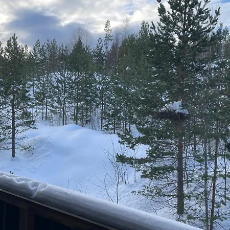 Koselig Med Et Skritt Unna Skibakken! Apartment Kongsberg